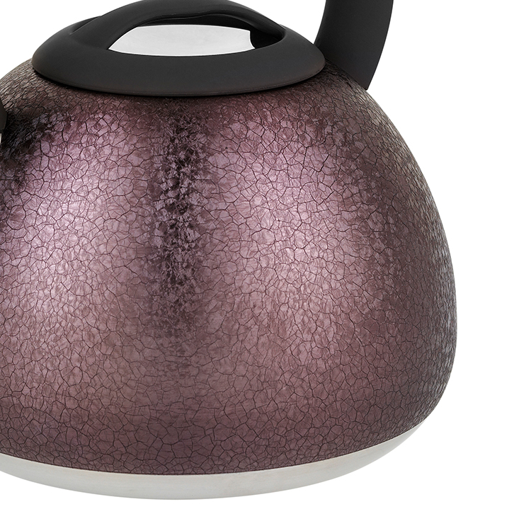 2.7L Elegante simplicidad Fábrica al por mayor Acepta personalización Caldera de silbido de acero inoxidable púrpura con mango de nylon